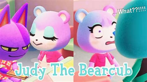 Judy The Bearcub Snooty Villager Animal Crossing New Horizons Acnh