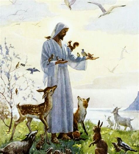 Jesus And Animals
