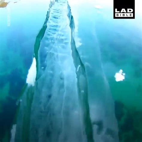 This Is Lake Baikal In Russia Its The Deepest Fresh Water Lake On