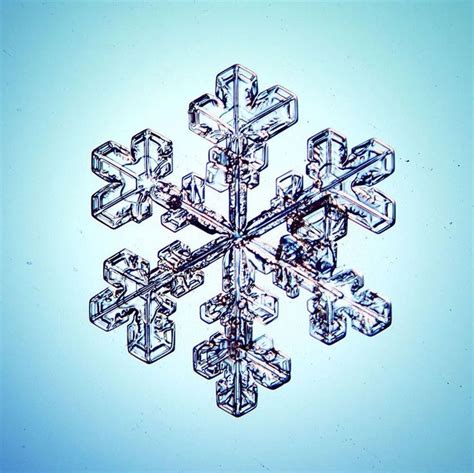 The Stunning Macro Snowflake Photography Of Sergey Kichigin Snowflake