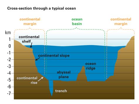 Ocean Cross Section Diagram