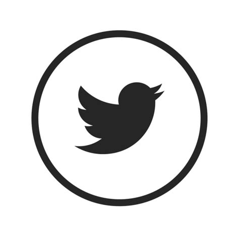 Fajarv Png Format White Twitter Logo Transparent Background