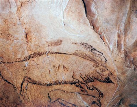 Paleolithic Cave Painting Of A Bison And Ibex In The Salon Noir Of