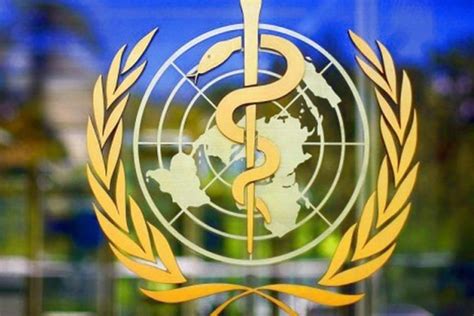 Světová Zdravotnická Organizace Varuje Evropu Riziko Podzimní Vlny