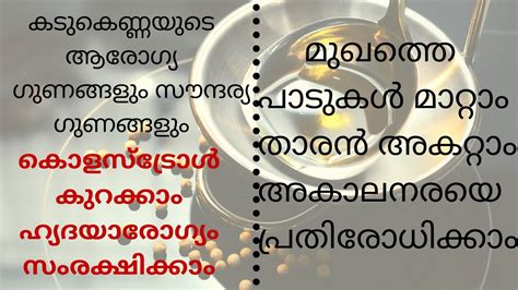 It is moisturizing, yet softening. Benefits of mustard oil | malayalam | benefits of mustard ...