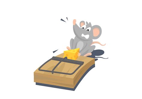 Secondo gli addestratori, questi topi sono efficienti, instancabili e precisi, oltre ad essere molto intelligenti e dotati. Come stanare un topo in casa?
