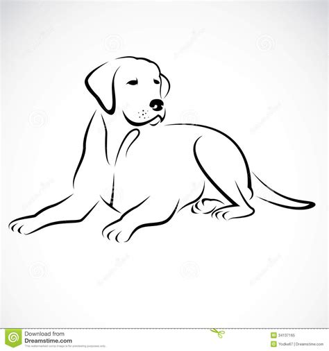 Vector Image Of An Dog Labrador Royalty Free Stock Photo Image 34137165