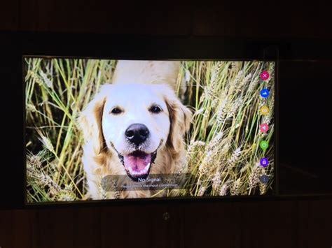 Lg Tv Screensaver Pictures