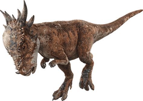 The Stygimoloch Aghipbacid