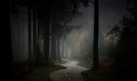 720p Free Download Dark Path Path Nature Trees Dark Hd Wallpaper