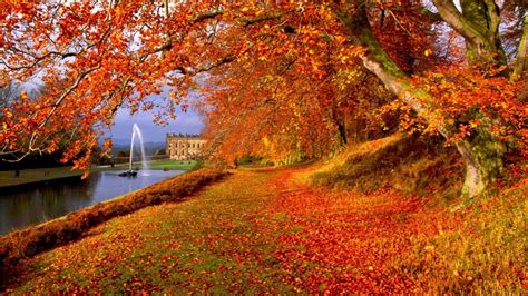 Beautiful Scenery Nature Red Yellow Autumn Leafed Trees River Hd Nature