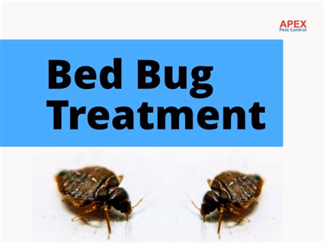 Bed Bug Treatment Efficient Service Leeds Apex Pest Control
