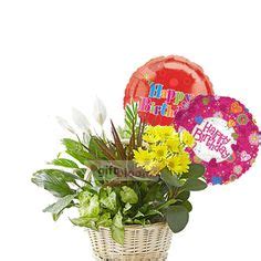 Oct 01, 2021 · balloons are tied to the front gate of gladys berejiklian's sydney home today after her shock resignation. 36 Birthday Balloons Delivery USA ideas | birthday balloon ...