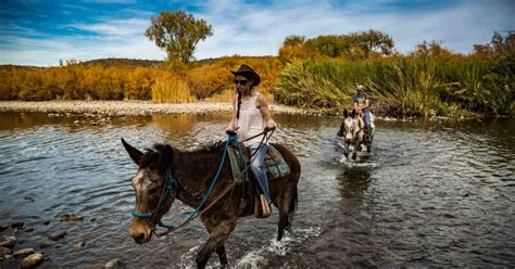 Horseback And Trail Riding In Mesa Arizona Visit Mesa
