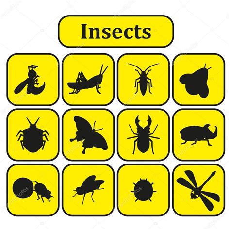 Set Of Various Insects Stock Vector Image By ©alexej4444yandexby