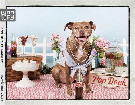 Pin On Pit Bulls As Pin Ups