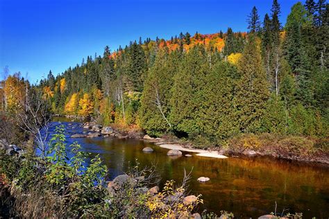 Free Photo Autumn Landscape Fall River Free Image On Pixabay 1717612