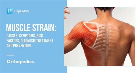 Muscle Strain Causes Symptoms Risk Factors Diagnosis Treatment And