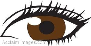 Cartoon Brown Eyes - ClipArt Best