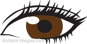 Brown Eyes Clip Art Clipart Best Clipart Best