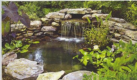 Garden water feature designs can also increase the curb appeal of your home, reduce noise pollution and improve air quality. Ways to Make a Real Impact in Your Garden with a Water ...