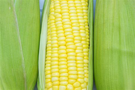 Understanding Genetically Modified Foods Unlock Food