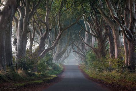 The Hedges by Stephen Emerson - Photo 96217273 - 500px