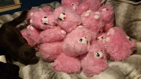 Fluffle Puff On Twitter One Of These Things Is Not Like The Other Npaimx2caj