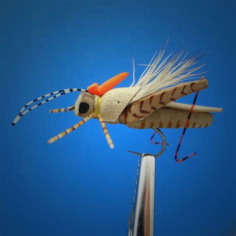 Hopper Project 2013 Fly Fish Food Fly Tying And Fly Fishing