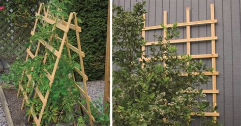 Up To 75 Off Garden Trellises At Lowes