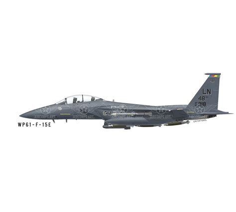 F 15 Eagle 494th Fighter Squadron Military Aircraft Profile