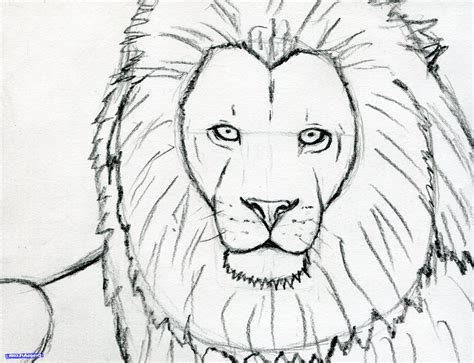 Simple Lion Face Drawing At Getdrawings Free Download