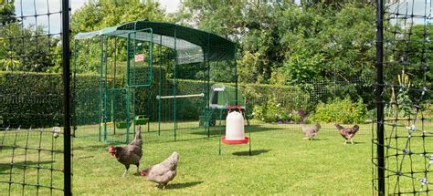 Omlet Chicken Fencing Poultry Netting For Chickens Omlet