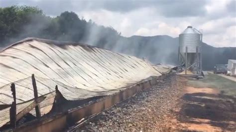 Massive Fire Destroys Nc Chicken House Kills 11k Chickens Causes