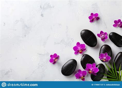 spa composition with flowers green leaves and massage stone on white background top view