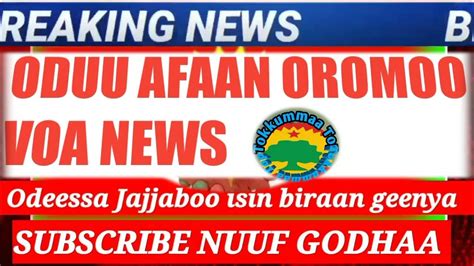 Oduu Ammee Afaan Oromoo Voa News Youtube