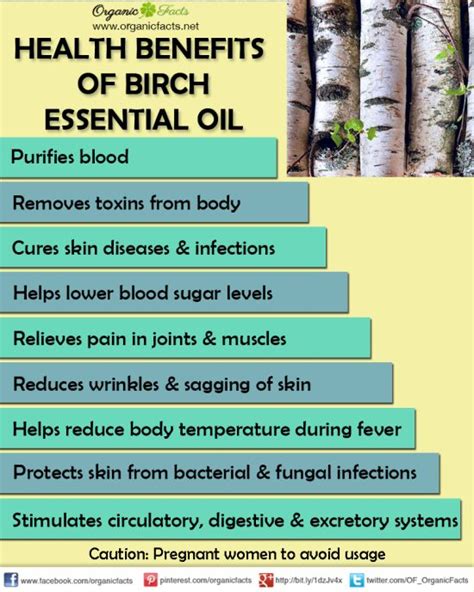 Health Benefits Of Birch Essential Oil Organic Facts