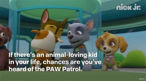 Paw Patrol Dog Names Pawsitively Perfect For Your Hero Pup