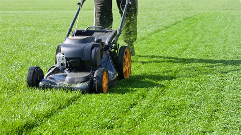 The Ultimate Lawn Care Guide — Essential Tips And Tricks For Getting