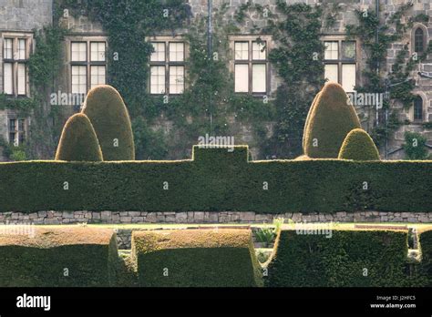 Chirk Castle Gardens Wrexham Wales Uk The Yew Hedges Were Planted