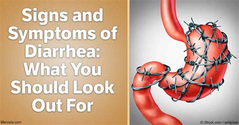 Signs And Symptoms Of Diarrhea What You Should Look Out For