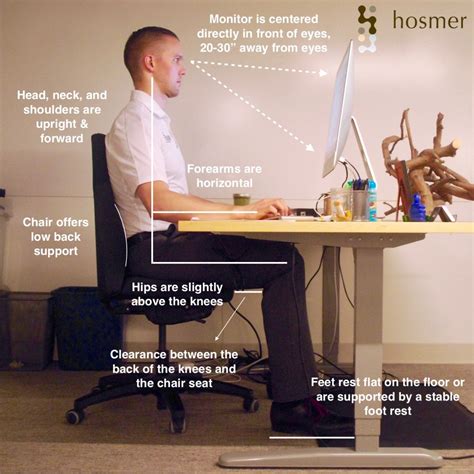 Hosmer Chiropractic Proper Ergonomic Desk Workstation