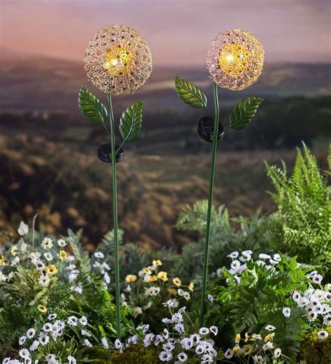 A wide variety of outdoor metal steel dandelion sculpture options are available to you, such as use, material, and theme. Solar Lighted Dandelion Garden Stakes, Set of 2 | Garden ...