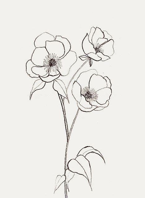 The placement of these flowers is gorgeous. #Bernadette_Pascua … | Flower sketches, Drawings, Poppy ...
