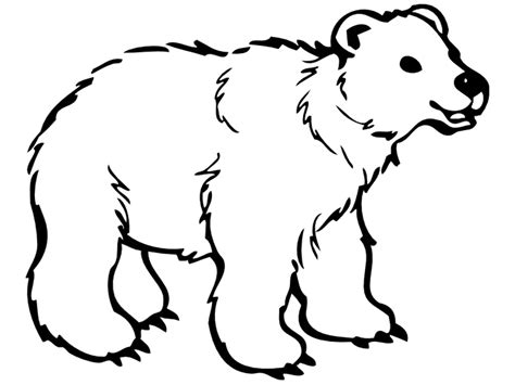 Adult Coloring Polar Bear Coloring Pages