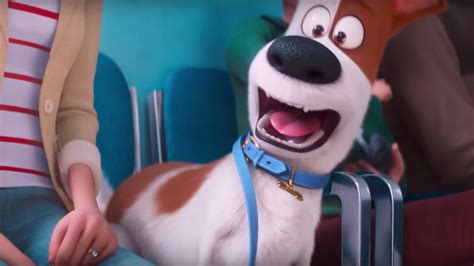 First Trailer For THE SECRET LIFE OF PETS 2 Asks if We Really Know Our Pets — GeekTyrant