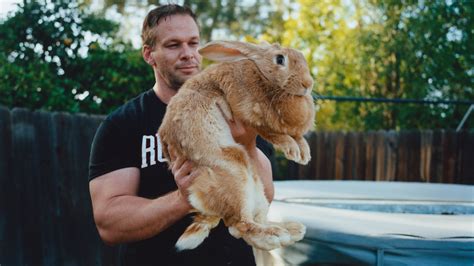The Internet’s Exotic Pets, and the People Who Love Them - The New York