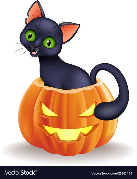 Cartoon Black Cat Sitting In Halloween Pumpkin Vector Image