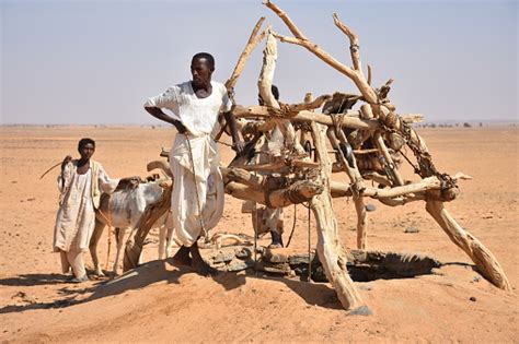Nomads In Sahara Desert Stock Photo Download Image Now Istock