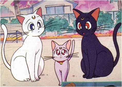 Cats Anime Forum Neoseeker Forums